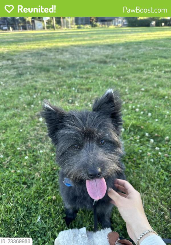 Reunited Male Dog last seen Intersection between Hawthorne Ave and Silverton Rd, Salem, OR 97303