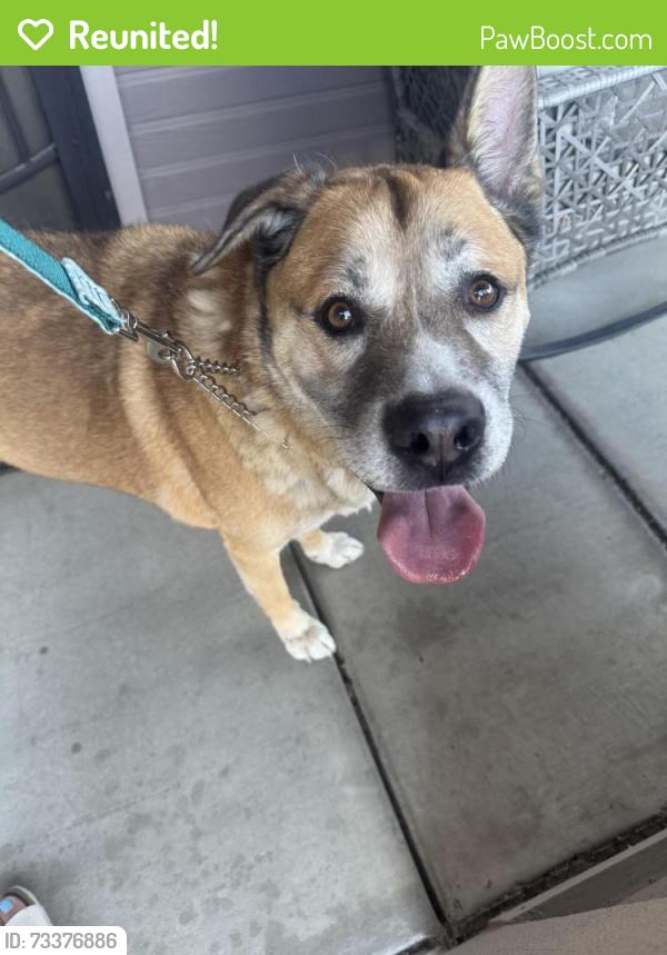 Reunited Male Dog last seen Summerdale, Turlock, CA 95382