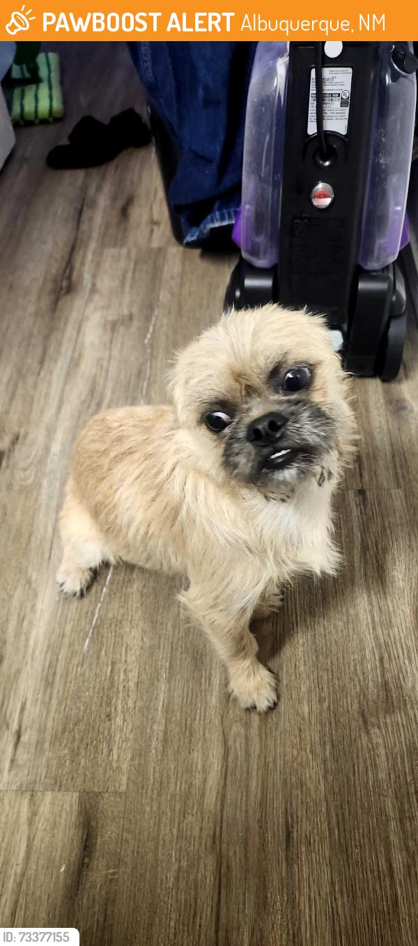 Found/Stray Male Dog last seen Zuni and San pedro, Albuquerque, NM 87108