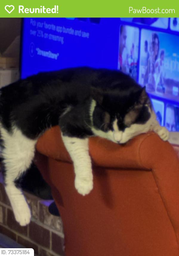 Reunited Male Cat last seen Rv park, Orting, WA 98360