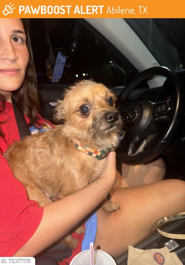 Found/Stray Male Dog last seen Buffalo Gap and S 32nd, Abilene, TX 79605