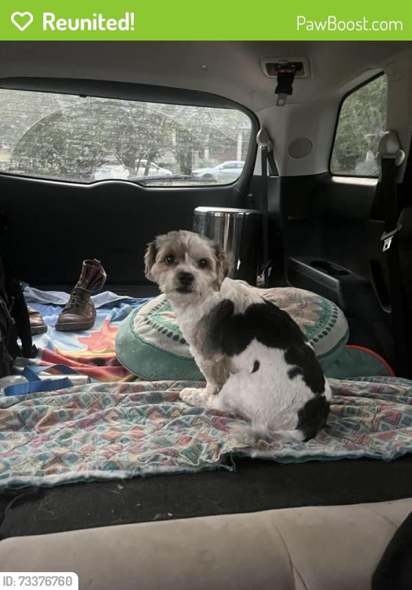 Reunited Male Dog last seen Club Haven ests (Tiffany Rd) off of Peacehaven near Country Club Rd., Winston-Salem, NC 27104
