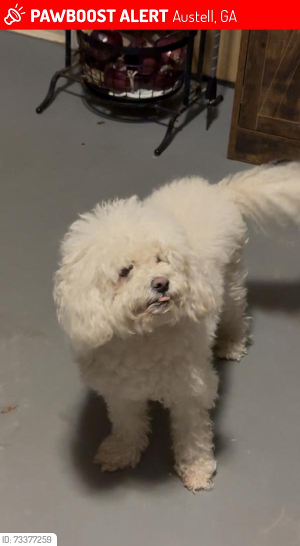 Lost Male Dog last seen Close to S Gordon Rd, Austell, GA 30168