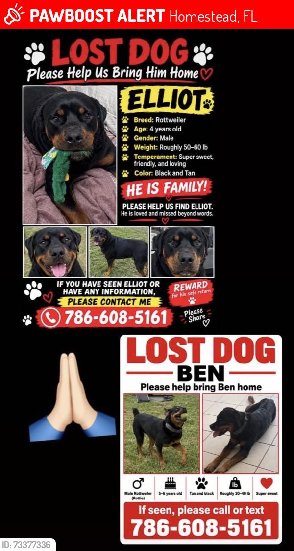 Lost Male Dog last seen Near and krome, Homestead, FL 33030