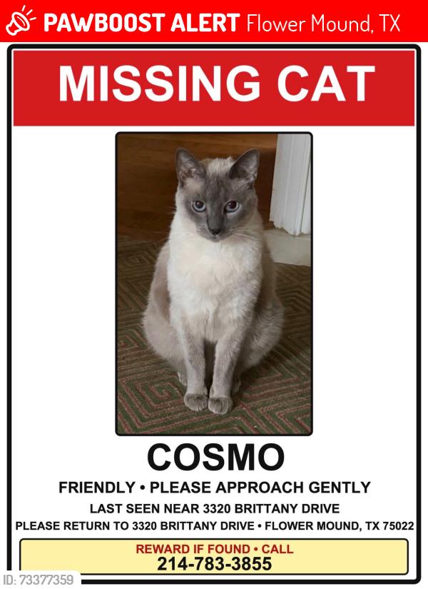 Lost Male Cat last seen Brittany Dr., Flower Mound, TX 75022