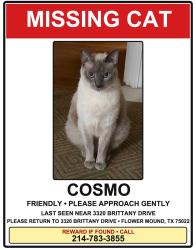 Reunited Male Cat last seen Brittany Dr., Flower Mound, TX 75022