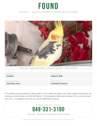 Found/Stray Male Bird last seen Varesa, Irvine, CA 92620