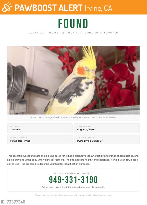 Found/Stray Male Bird last seen Varesa, Irvine, CA 92620