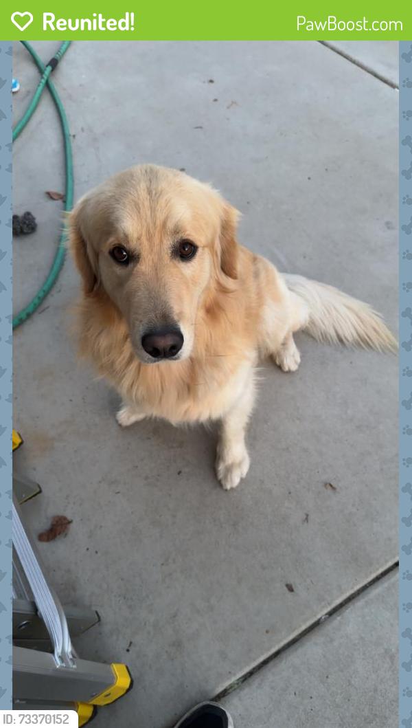 Reunited Male Dog last seen Auberry dr and maple trails way, Sacramento, CA 95828