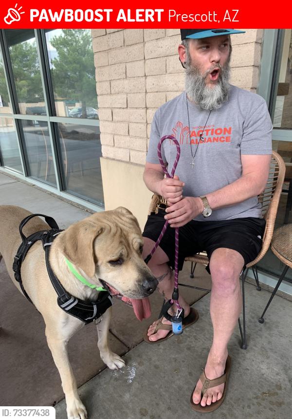 Lost Male Dog last seen Copper basin and park ave, Prescott, AZ 86303