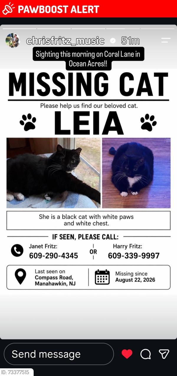 Lost Female Cat last seen Compass Road & Breakers Drive, Stafford Township, NJ 08050