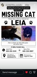 Lost Female Cat last seen Compass Road & Breakers Drive, Stafford Township, NJ 08050