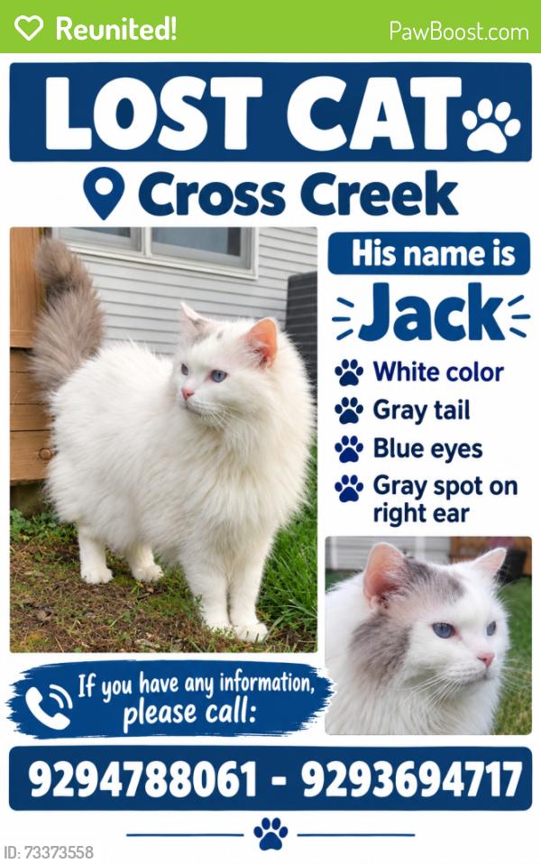 Reunited Male Cat last seen Near Cross Creek Cir W, Breinigsville, PA 18031, USA, Breinigsville, PA 18031