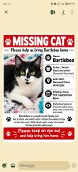 Lost Male Cat last seen Oyster park primary school, West Yorkshire, England WF10 3SX