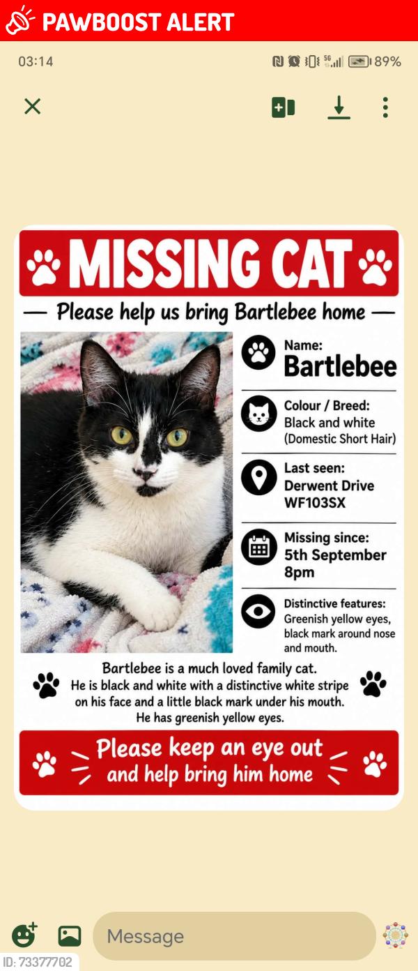 Lost Male Cat last seen Oyster park primary school, West Yorkshire, England WF10 3SX