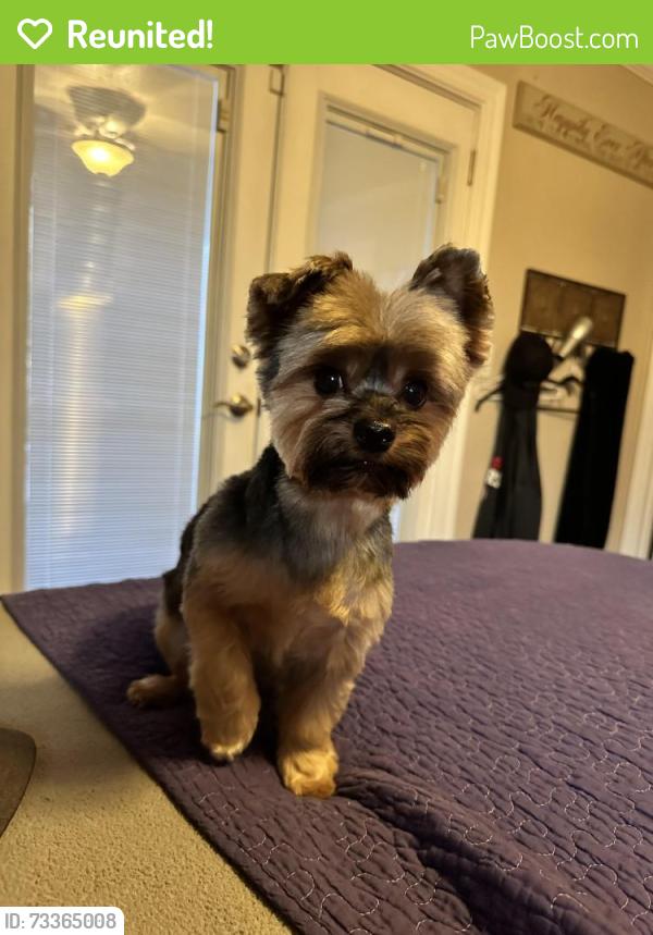 Reunited Male Dog last seen Shearwater Drive and Heartland Ranch Avenue, Patterson, CA, Patterson, CA 95363