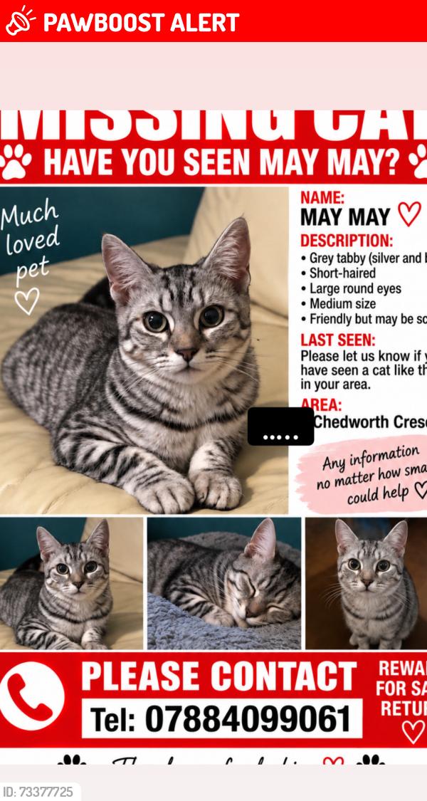 Lost Female Cat last seen Chedworth Crescent, Paulsgrove, Portsmouth, England 