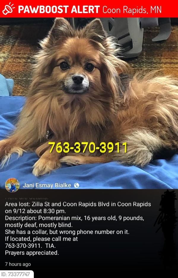 Lost Female Dog last seen Zilla & Coon rapids blvd, Coon Rapids, MN 55448