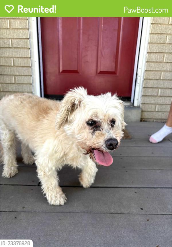 Reunited Female Dog last seen Near s and Fashion Place Blvd, Murray, UT 84107