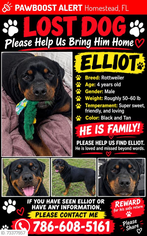 Lost Male Dog last seen Crossing the golf course, Princeton, FL 33032