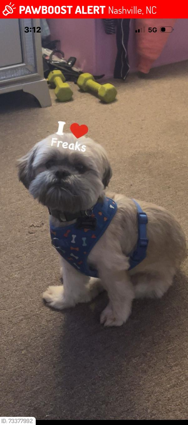 Lost Male Dog last seen Nashville,NC (by train tracks, glover park, doug saul’s area), Nashville, NC 27856