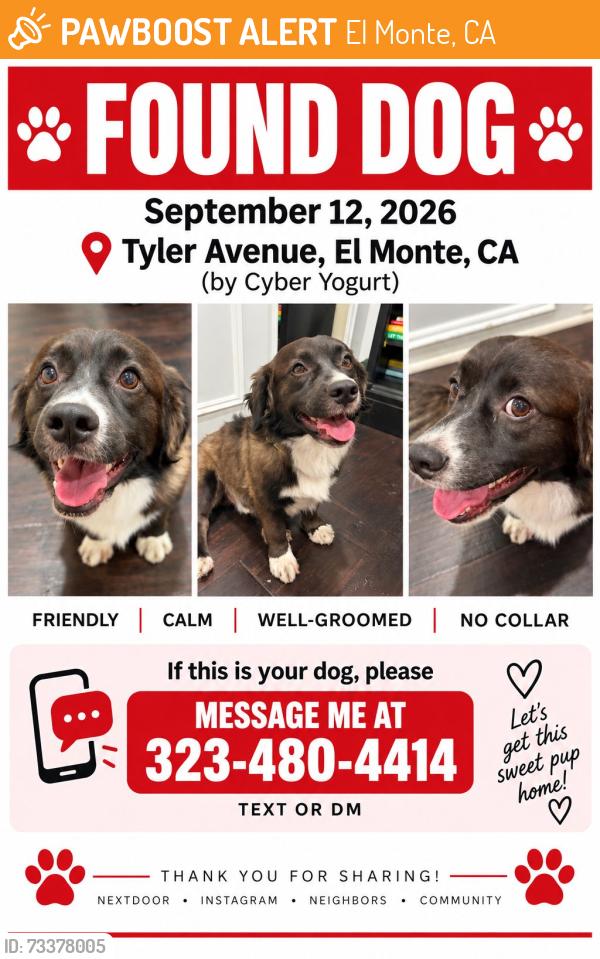 Found/Stray Male Dog last seen Cyber Yogurt on Tyler Avenue, El Monte, CA 91731