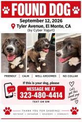 Found/Stray Male Dog last seen Cyber Yogurt on Tyler Avenue, El Monte, CA 91731