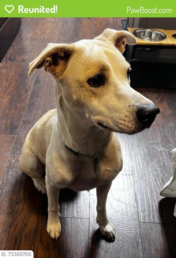 Reunited Female Dog last seen Post road and daniel mill, Winston, GA 30187