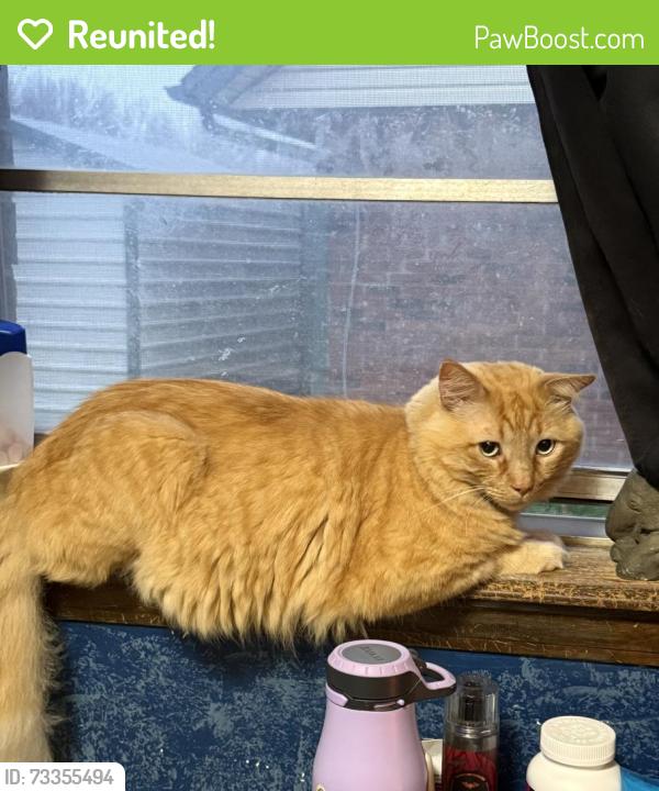 Reunited Male Cat last seen Crosstimbers neighborhood, Moore, OK 73160