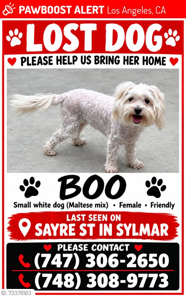 Lost Female Dog last seen Sayre st and glenoaks ave, Los Angeles, CA 91342