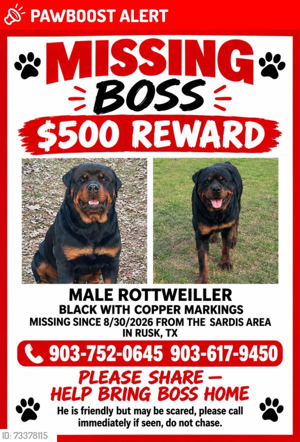 Lost Male Dog last seen CR 2218, Rusk,Texas 75785, Cherokee County, TX 75785