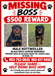 Lost Male Dog last seen CR 2218, Rusk,Texas 75785, Cherokee County, TX 75785