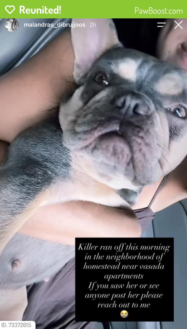 Reunited Female Dog last seen hmstd near vesada apmts, Jurupa Valley, CA 92509