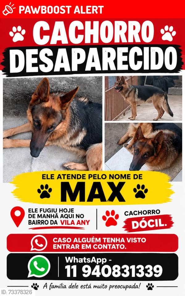 Lost Male Dog last seen Avenida, Jardim Guaracy, SP 07262-203