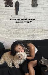 Lost Male Dog last seen Cerca de Cumbria, Ensueños, el lago de los lirios o Atlanta, Cuautitlán Izcalli, Méx. 54740