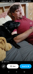 Lost Female Dog last seen Over pass on davis road, Kokomo, IN 46901