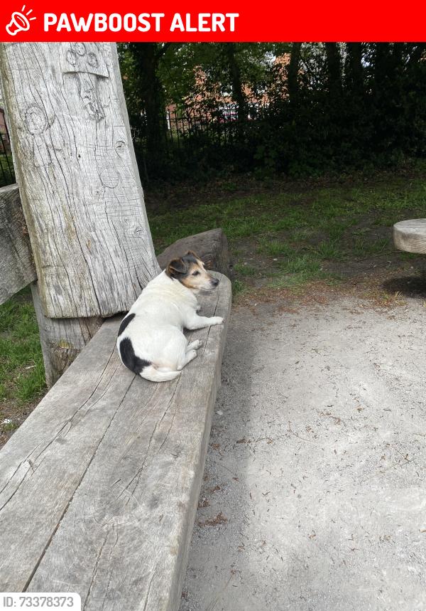 Lost Female Dog last seen Fletcher moss, Didsbury, England M20 2RQ