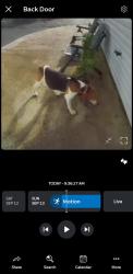 Found/Stray Unknown Dog last seen Near soccer fields on SR161, west of plain City, Plain City, OH 43064