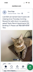Lost Female Cat last seen Taylor Ranch apmts, Albuquerque, NM 87120