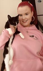 Lost Male Cat last seen Blackpool FY4 3DR, Blackpool, England 