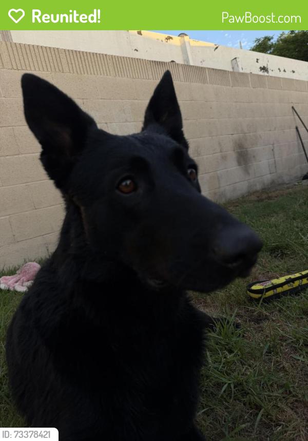 Reunited Male Dog last seen 11001woodbury rd, Garden Grove, CA 92843