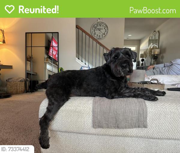Reunited Male Dog last seen Jackson Lake Road and Keys Ferry, Henry County, GA 30016