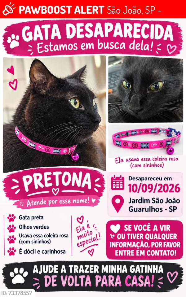 Lost Female Cat last seen rua serra da raiz 43, São João, SP 07151-430