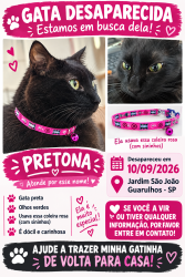 Lost Female Cat last seen rua serra da raiz 43, São João, SP 07151-430