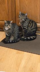 Gunther & Loki
