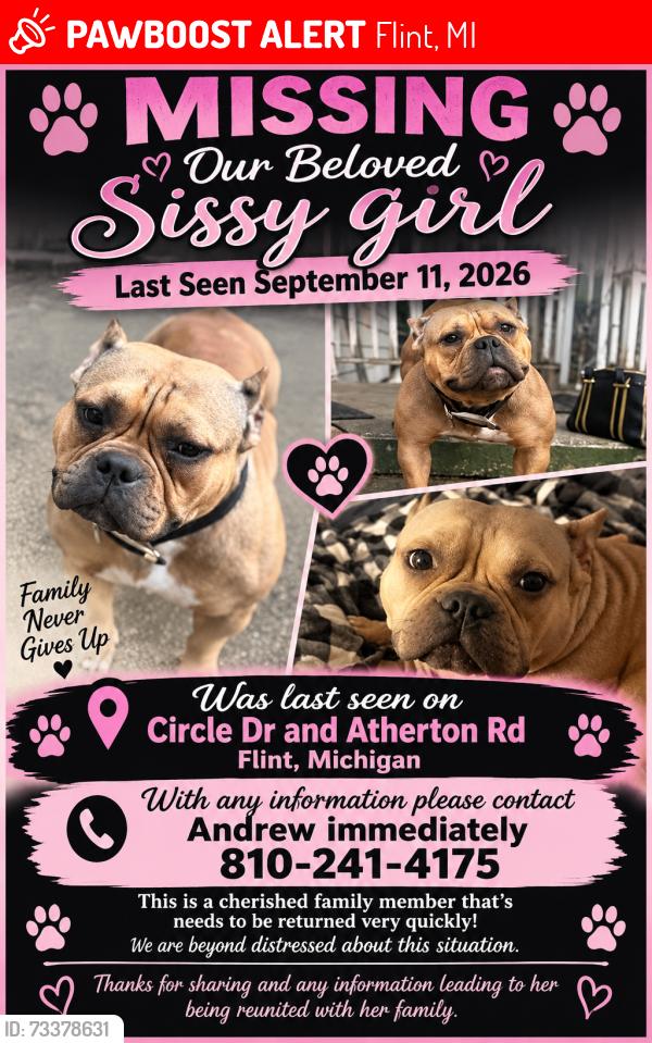 Lost Female Dog last seen Atherton Road and Hemphill Road, Flint, MI 48507