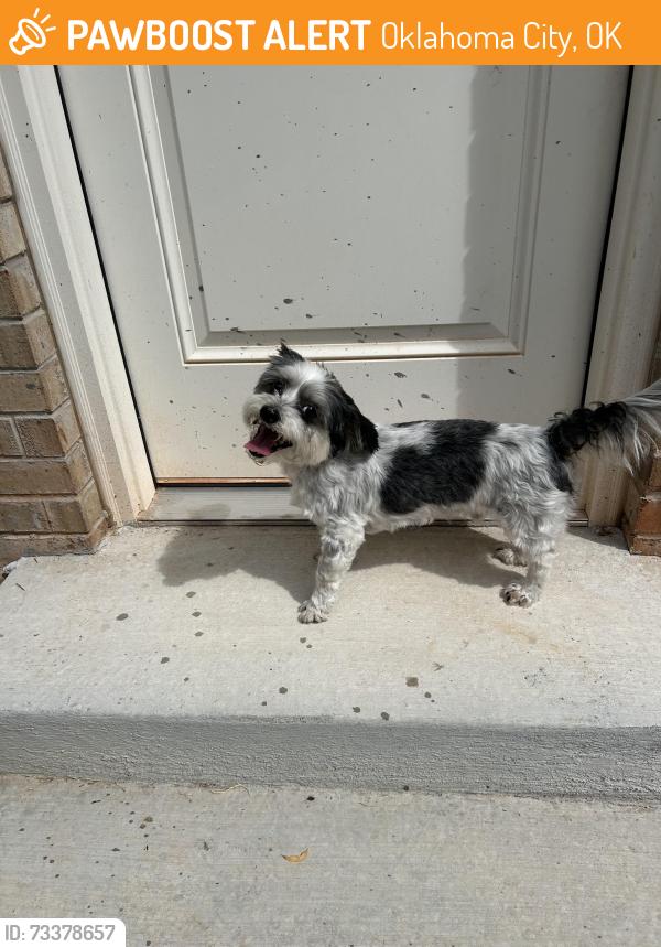 Found/Stray Unknown Dog last seen Hefner and Broadway Extension, Oklahoma City, OK 73114
