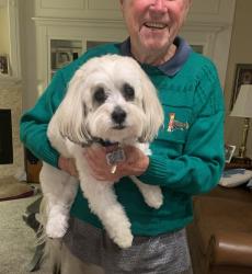 Lost Male Dog last seen Grand Haven. Jasmine drive and Osprey circle, Palm Coast, FL 32137
