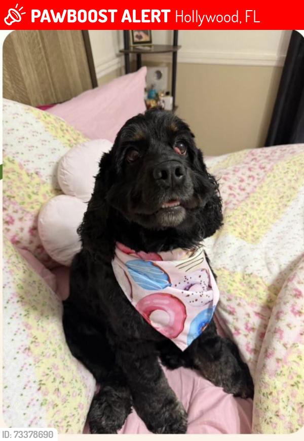 Lost Female Other last seen Near Fletcher St, Hollywood, FL 33023, Hollywood, FL 33023