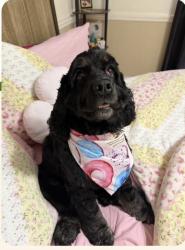 Lost Female Other last seen Near Fletcher St, Hollywood, FL 33023, Hollywood, FL 33023